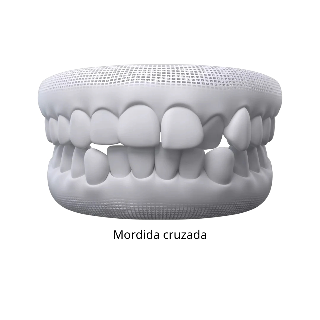 Texto do seu parágrafo (29)