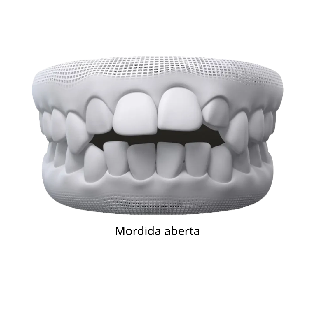 Texto do seu parágrafo (30)