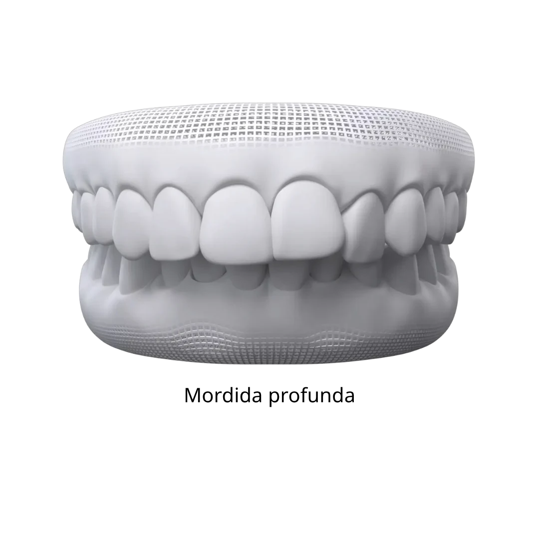 Texto do seu parágrafo (31)